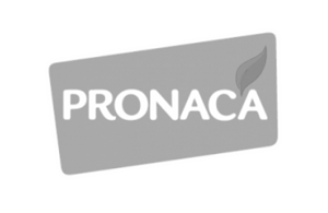 Imagen-4@2x-e1634686750304-300x195